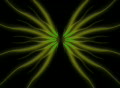 video clip 330075