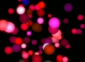 video clip 333193