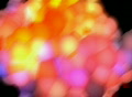 video clip 333315