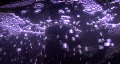 video clip 334439