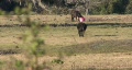 video clip 334449
