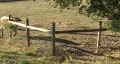 video clip 334931