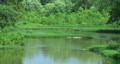 video clip 342417