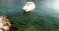 video clip 344061