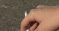 video clip 344193