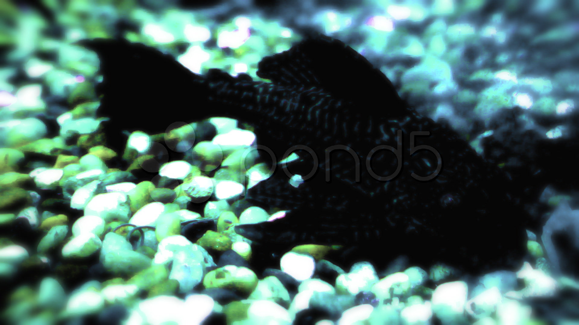 Technical Information