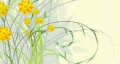 timelapse flower intro 01