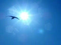 video clip 354049