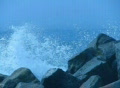video clip 354105
