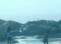 video clip 354357