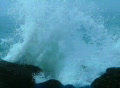 video clip 354445