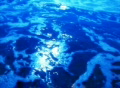 video clip 354545