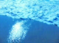 video clip 354581