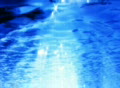 video clip 360577
