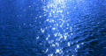 video clip 361999