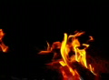 video clip 362417