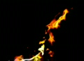 video clip 362459