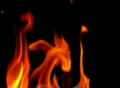 video clip 362479