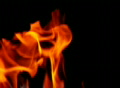 video clip 362483