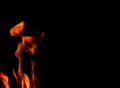 video clip 362491