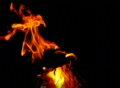 video clip 362507