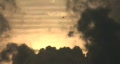 video clip 371039