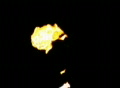 video clip 371331