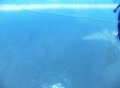 video clip 371367