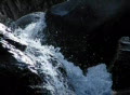 video clip 371447