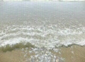 video clip 371849