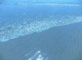video clip 371869