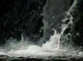 video clip 371893