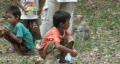 video clip 372569