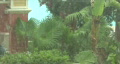 video clip 401659