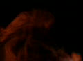 video clip 420829