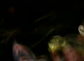 video clip 420833