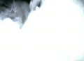 video clip 420883