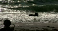 video clip 421009