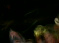 video clip 421357