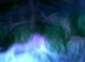 video clip 431201