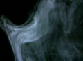 video clip 435177