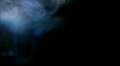 video clip 436919