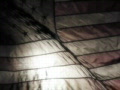 video clip 448395