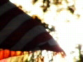 video clip 448399