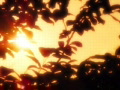 video clip 448523