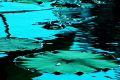 video clip 448865