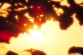 video clip 449347