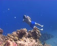 video clip 457863
