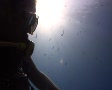 video clip 457889