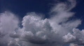 video clip 459247